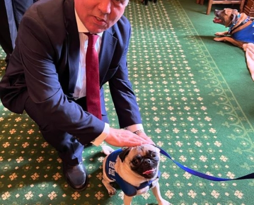 Bambos Charalambous MP with pancake the pug at Battersea's parliamentary reception