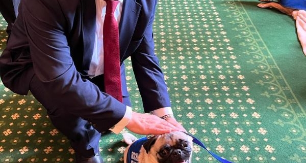 Bambos Charalambous MP with pancake the pug at Battersea's parliamentary reception