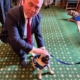 Bambos Charalambous MP with pancake the pug at Battersea's parliamentary reception
