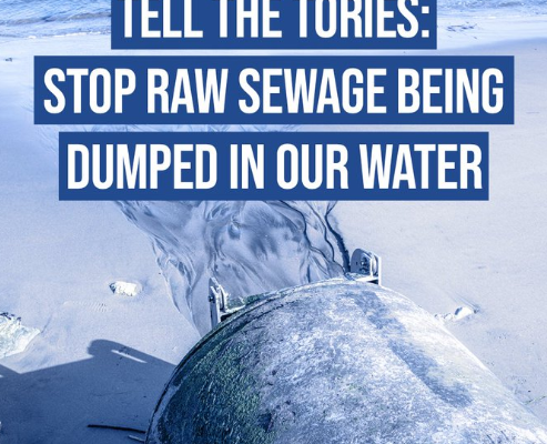 Tell the Tories: Stop raw sewage being dumped into our water