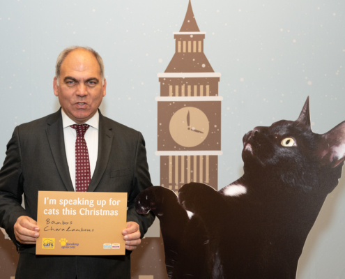 Bambos Charalambous MP supporting Cats Protection