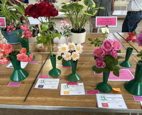 Bambos Charalambous MP attending the Grange Park Horticultural Society Summer Show with some of the entries pictured