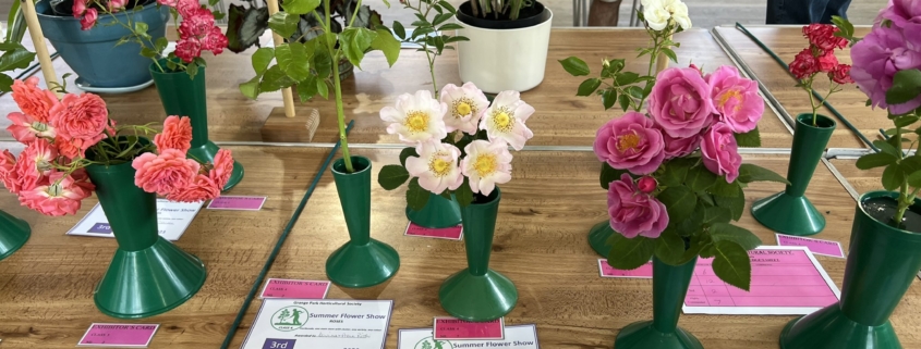 Bambos Charalambous MP attending the Grange Park Horticultural Society Summer Show with some of the entries pictured